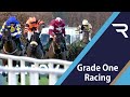 2020 Paddy Power Irish Gold Cup - Racing TV - YouTube