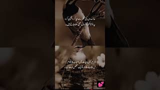 Hasid Urdu Poetry