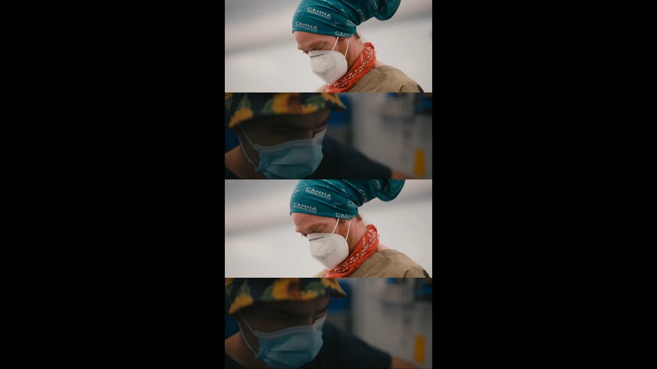 Lot 420 on quality: Consistency in every gram! 