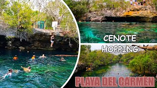 Cenote Hopping | Playa del Carmen | Mexico