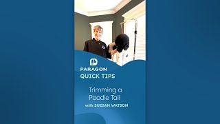 Quick Tips: Trimming a Poodle Tail with Suesan Watson