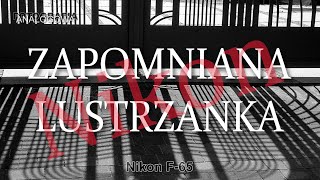 🎞 Nikon F-65 – eine gute und unterschätzte Kamera – Analogfotografie