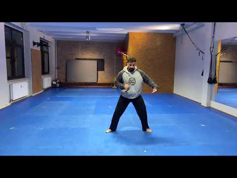 HARDEST KICK ON THE WORLD CAPOEIRA TUTORIAL GERMAN ( MEIA LUA)