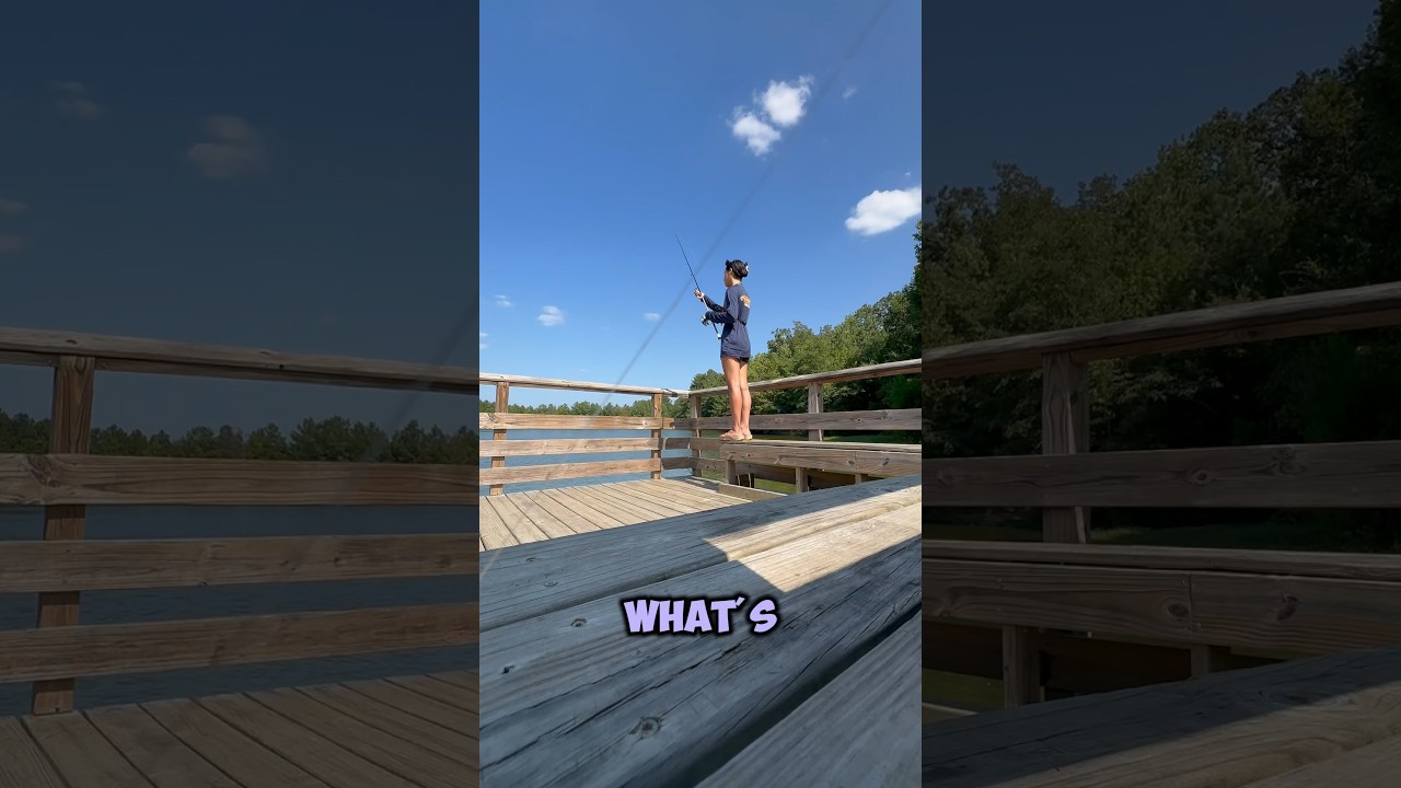 How to catch bass from overfished neighborhood ponds 