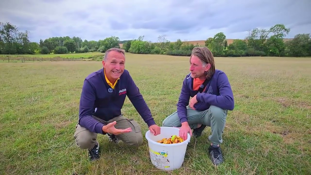 🎥 À la découverte de la Ferme de Chennery : l’élevage de daims en Argonne Ardennaise 🦌🌿