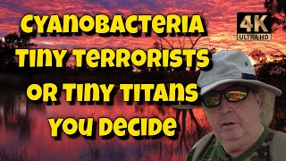 The Tiny Titans of Earth: How Cyanobacteria Made The Modern World