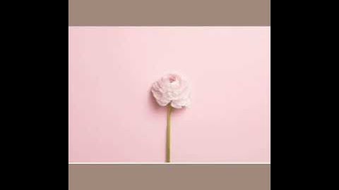 عبد العزيز عزت وما تيسر من سوره يوسف