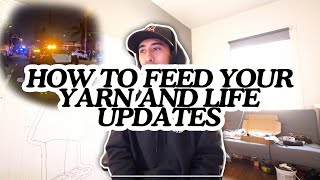 How to Feed Your Yarn &amp; Life Updates