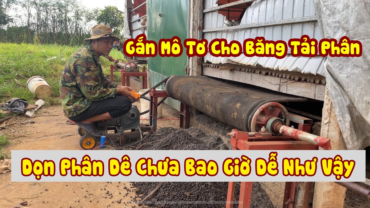 Băng Tải Phân Dê Hiện Đại Nhất, Bấm Nút Dọn Sạch Chuồng