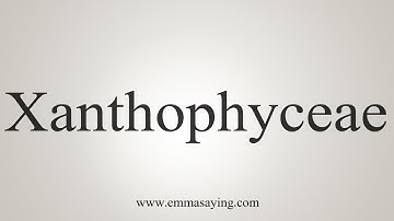 How To Say Xanthophyceae