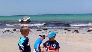 Parasailing Mit Enkelkinder Fiesta Beach Club