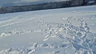   Snow At Van Cortlandt Park (12/14/25)