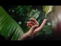 Meditation Music In 432Hz For Relaxation Yoga And Meditation Whisper Of Rain By Tim Vogt Meditation Music In 432Hz For Relaxation Yoga And Meditation Whisper Of Rain By Tim Vogt