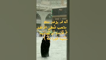 علمتني سورة الكهف ♥️🕊️