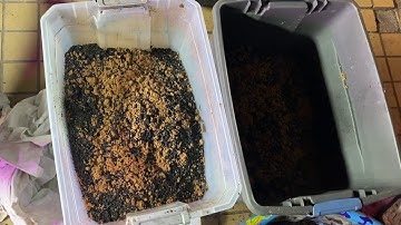 Part two Charging and inoculation of Biochar for Garden Hugel-bags IMO 3 Indigenous micro organisms