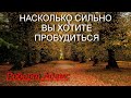 Насколько сильно вы хотите пробудиться?! [Р.Адамс, озв. Никошо]