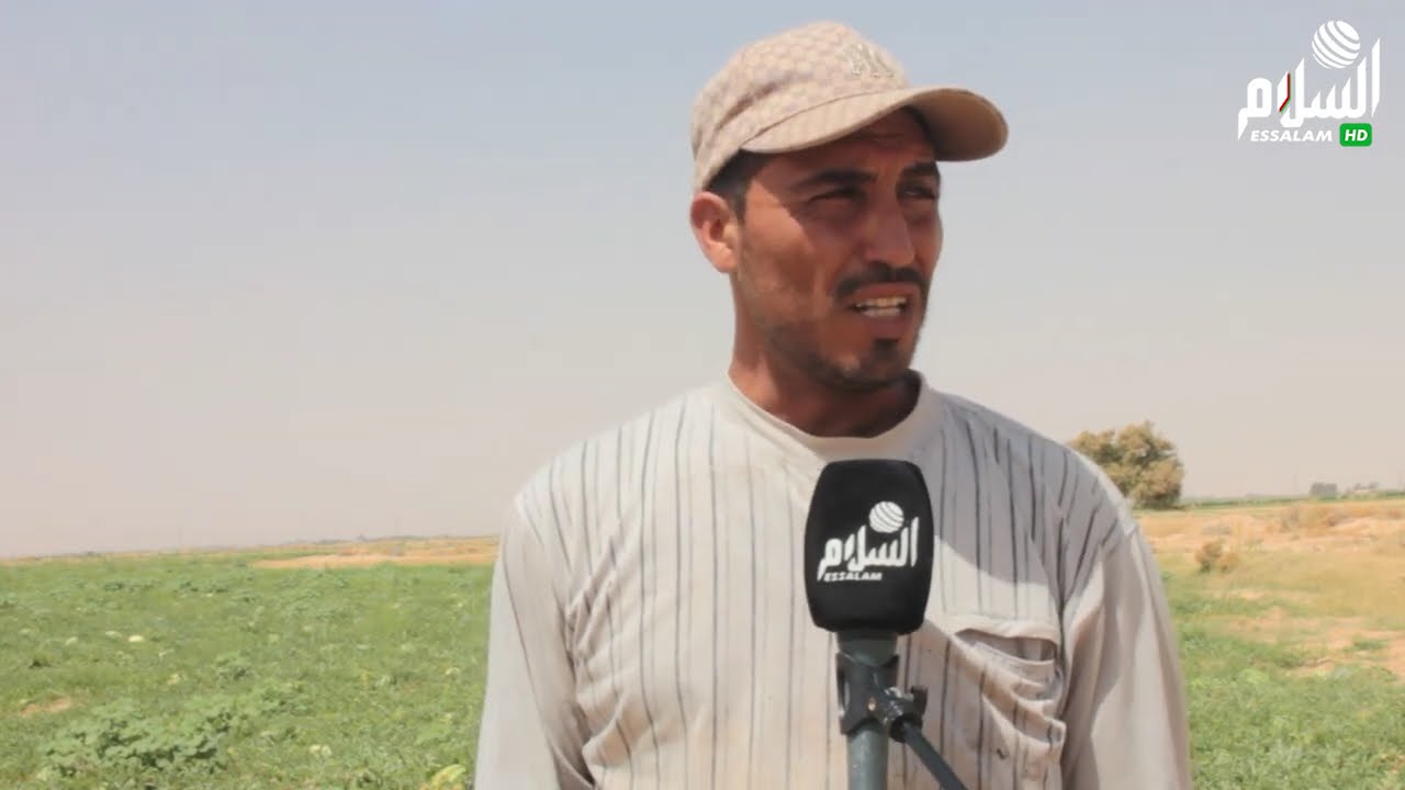 بريكة:  إنتاج وفير من فاكهة الدلاع ببلدية بيطام مشتى اولاد فراح