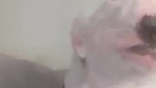 Walters Beatbox Mouth