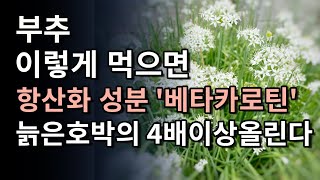 부추를 이렇게 먹으면 암세포 제거하는 &#39;배타카로틴&#39; 성분을 늙은 호박의 4배 이상 올린다