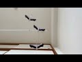 フレンステッドモビール コウノトリの動き（赤ちゃん目線）　Flensted mobiles - Lucky storks moving image