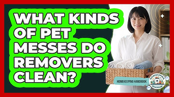 What Kinds Of Pet Messes Do Removers Clean?