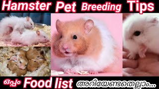 Hamster pet Breeding Tips Malayalam, Hamster  നെ  നന്നായി  എങ്ങനെ  വളർത്താം  ഒപ്പം  ബ്രീടിംഗ് .