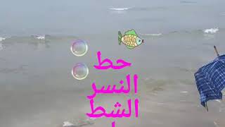 على الشط النسر حط