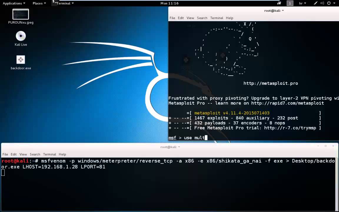 Metasploit kali. Kali linux metasploit.