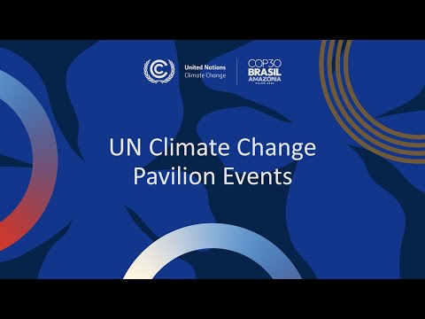 Financing Climate Adaptation: Old Challenges, Emerging Threats, Novel Solutions