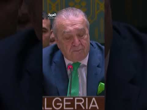 السفيرة دورتي: مشروع النقض الأمريكي يهدف لعزل واشنطن