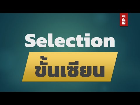 สอน Excel: Selection ขั้นเซียน EP.1