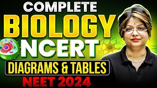 Complete BIOLOGY NCERT - DIAGRAMS and EXAMPLES in ONE SHOT⚡️ NEET 2024