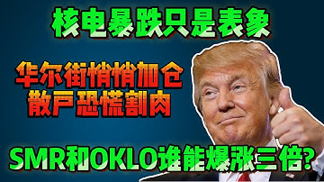 美国电力要被AI烧断了 核电暴跌只是假象 真正的大行情刚开始#核电 #SMR #Oklo #AI能源 #美国电力危机