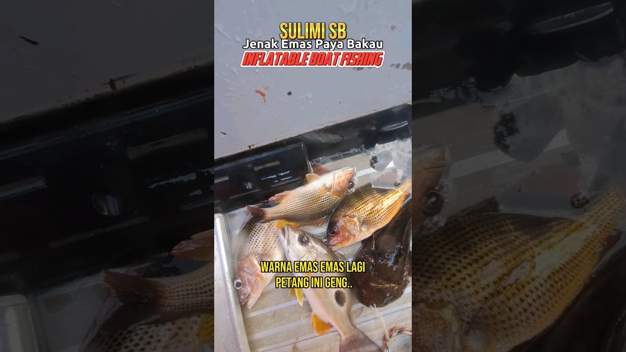 SisikEmasSpotLagendaOn 