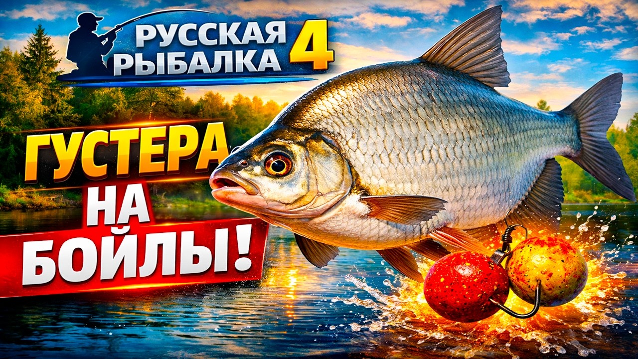 Русская Рыбалка 4 —  ГУСТЕРА НА БОЙЛЫ | СЕРИЯ 6