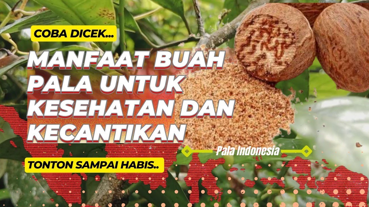 manfaat buah pala untuk kecantikan ‼️Jadi Masker wajah