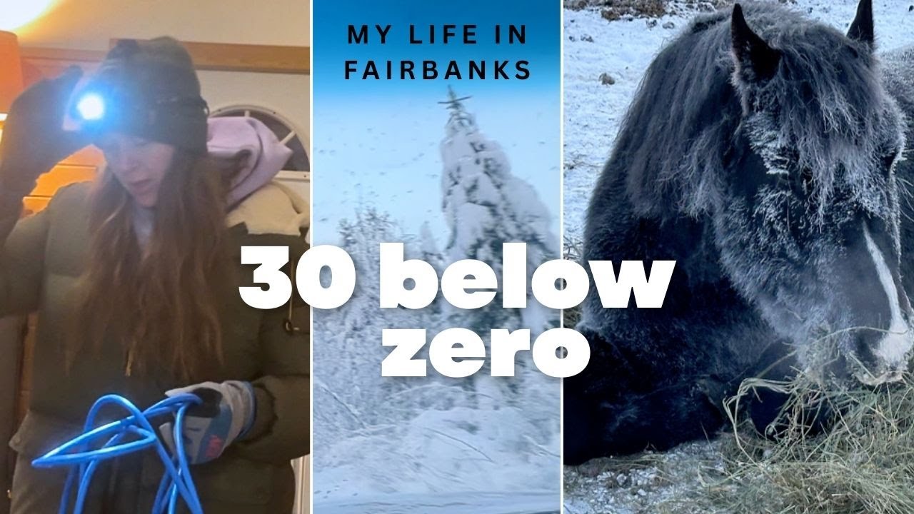 Обычный день в Фэрбенксе. Сухая хижина, моя лошадь, развлечения для моих собак после трех ночей р...