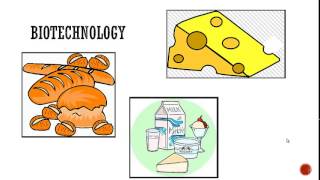 Engineering Economics Project