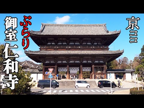 御室の塔（京都 仁和寺） Ninnaji Temple（仁和寺） | 京都観光ツアー
