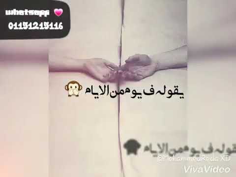ولو كل الكلام اتقال حاله واتس