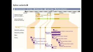 Ensembl Genome Browser, Part 2