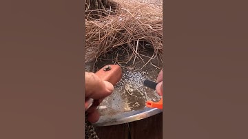 HOW TO USE A MAGNESIUM FIRE STARTER #shorts  #diy #campping #campinggear