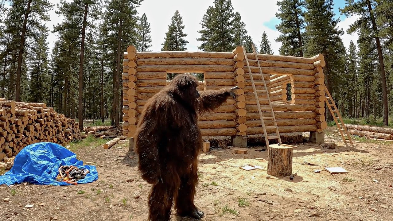 Bigfoot VLOG – Building a Log Cabin