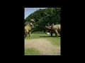 【心霊スポット】森林公園【和歌山県】