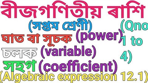 বীজগণিতীয় ৰাশি/Algebraic expression/class 7 maths chapter 12.1 SCERT
