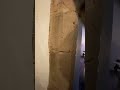 Possible Witch Marks at Delgatie Castle 