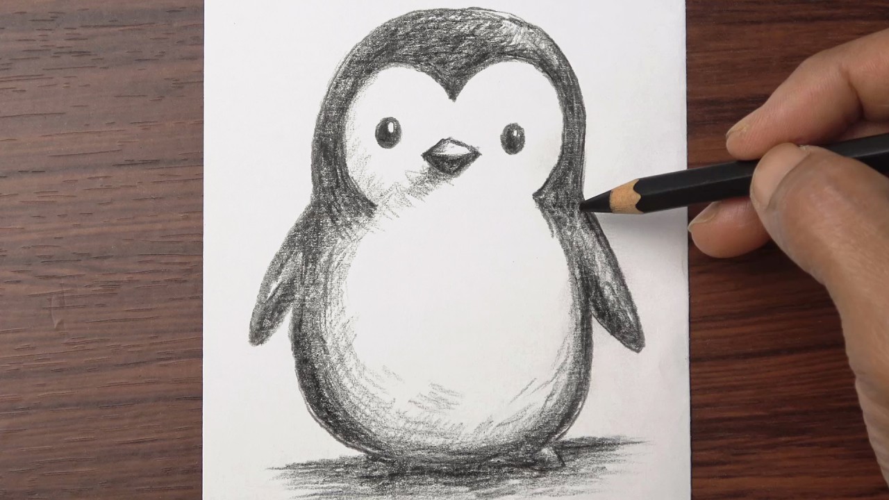 How to Draw a Cute Penguin step by step | Pencil sketch for beginners