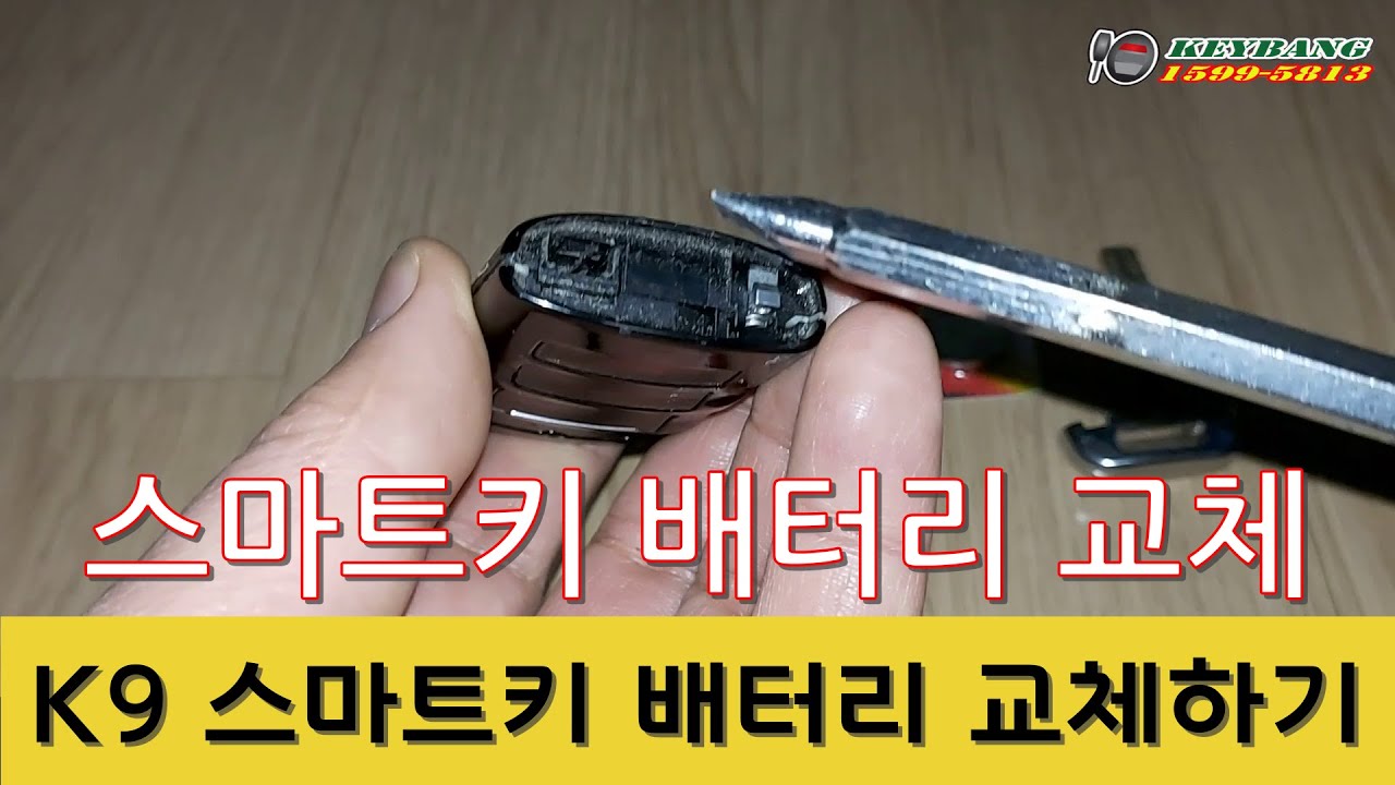 기아 K9 올뉴쏘렌토R 스마트키 배터리교체 - Youtube