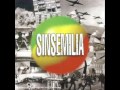Sinsemilia - Reggae's (born to)