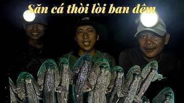 SĂN CÁ THÒI LÒI BAN ĐÊM LOÀI CÁ ĐẶC SẢN CÀ MAU[ Nấu nồi CHÁO khuya liu riu ly rượu đế//